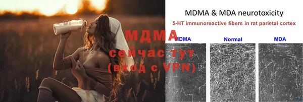 молекула духа Алексин