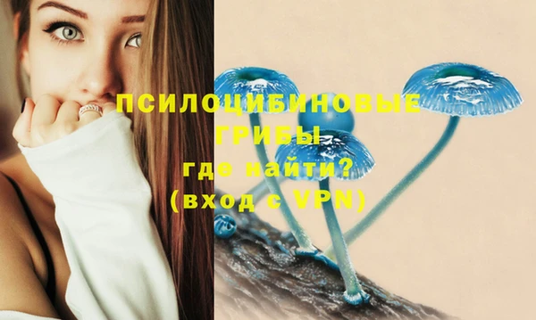 соль курить ск Алексеевка